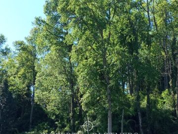 Terreno de 1 hectárea en exclusivo loteo con acceso al lago