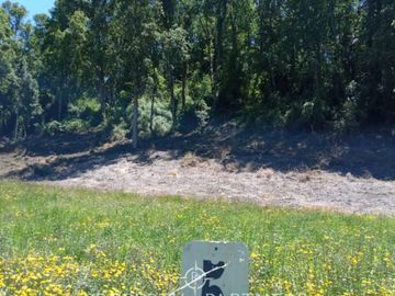 Terreno de 1 hectárea en exclusivo loteo con acceso al lago