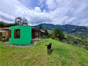 Venta casa Bello sector norteamerica