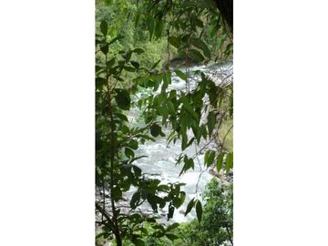VENDO FINCA DE 135 HECTAREAS 900M.S.N.M.