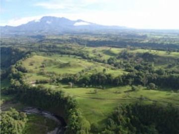 VENDO FINCA DE 135 HECTAREAS 900M.S.N.M.
