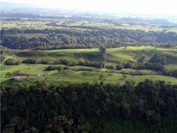 VENDO FINCA DE 135 HECTAREAS 900M.S.N.M.
