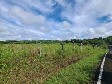 VENDO FINCA DE 135 HECTAREAS 900M.S.N.M.