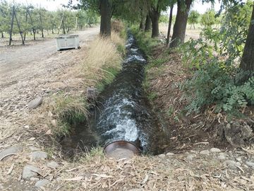 Agrícola en Venta en San Jorge de Romeral, Molina