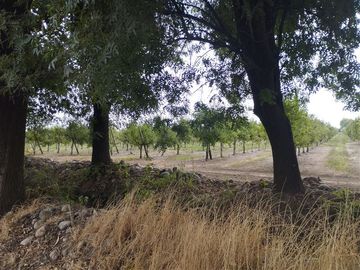 Agrícola en Venta en San Jorge de Romeral, Molina