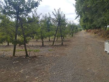 Agrícola en Venta en San Jorge de Romeral, Molina