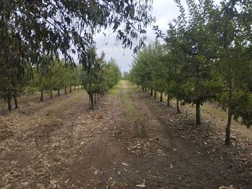 Parcela en Venta en San Jorge de Romeral, Molina