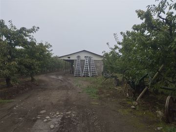 Parcela en Venta en Parcela 37 Buena Fé