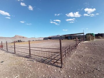 Venta de granja con casa uso habitacional, Aquiles Serdán