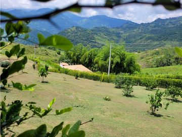 Finca Venecia (Suroeste)