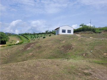 Finca Venecia (Suroeste)