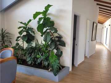 Finca Venecia (Suroeste)