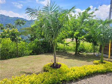 Finca Venecia (Suroeste)