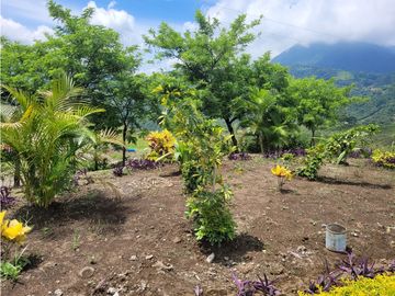 Finca Venecia (Suroeste)