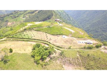 Finca Venecia (Suroeste)