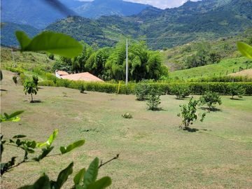 Finca Venecia (Suroeste)