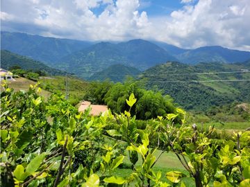 Finca Venecia (Suroeste)