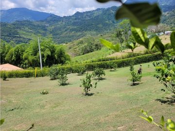 Finca Venecia (Suroeste)