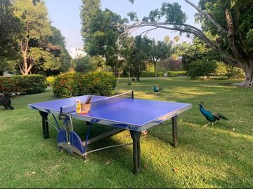 CASA EN VENTA EN YAUTEPEC