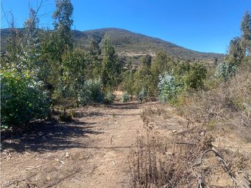Excelente Terreno Fundo Las Gaviotas