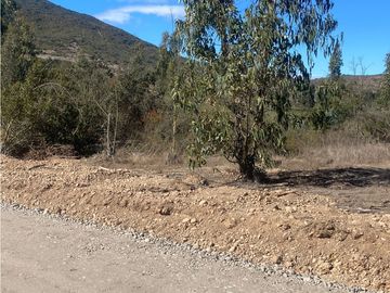 Excelente Terreno Fundo Las Gaviotas