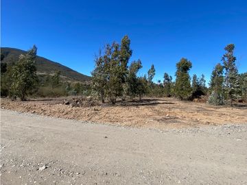 Excelente Terreno Fundo Las Gaviotas