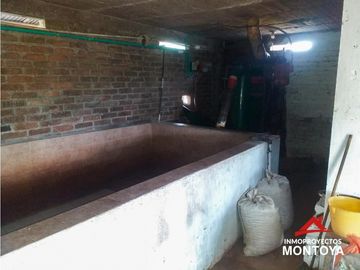 Finca cafetera tecnificada en Altagracia, Pereira