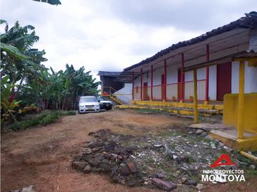Finca cafetera tecnificada en Altagracia, Pereira