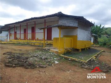 Finca cafetera tecnificada en Altagracia, Pereira