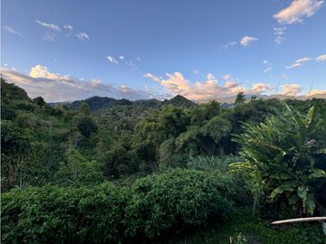 Se vende Finca Cafetera Sector Salento