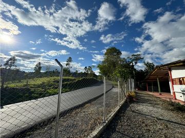 Se vende Finca Cafetera Sector Salento