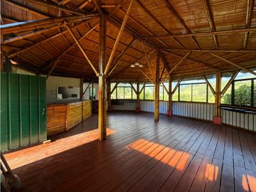 Se vende Finca Cafetera Sector Salento