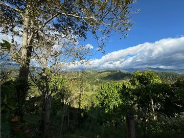 Se vende Finca Cafetera Sector Salento