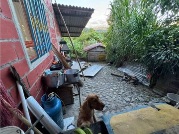 Se vende Finca Cafetera Sector Salento