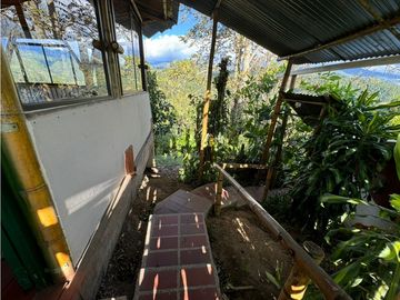 Se vende Finca Cafetera Sector Salento