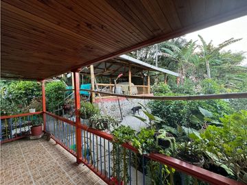 Se vende Finca Cafetera Sector Salento