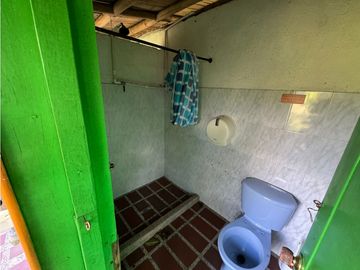 Se vende Finca Cafetera Sector Salento