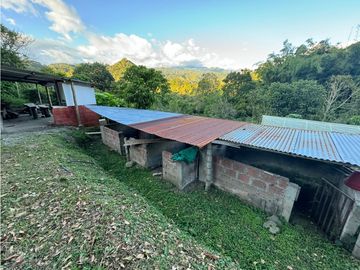 Se vende Finca Cafetera Sector Salento