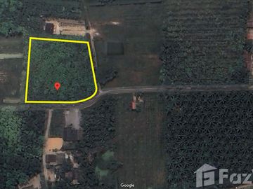 Land for sale in Chai Montri, Nakhon Si Thammarat