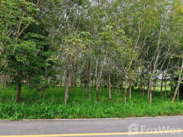 Land for sale in Chai Montri, Nakhon Si Thammarat