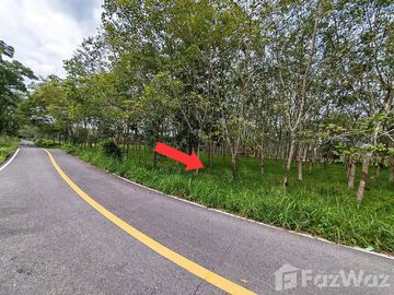 Land for sale in Chai Montri, Nakhon Si Thammarat