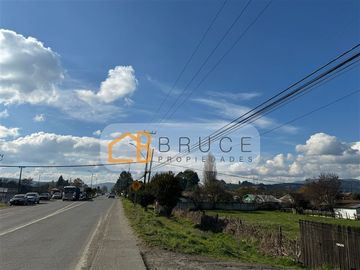 Terreno Construccion en Venta en Ruta 203 y Gran Avenida