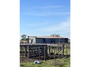 Campo en venta. 225 Has ganaderas con Excelente mejoras