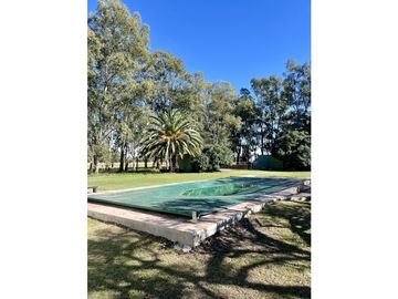 Campo en venta. 225 Has ganaderas con Excelente mejoras