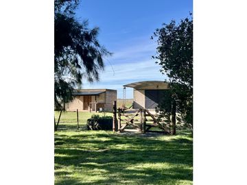 Campo en venta. 225 Has ganaderas con Excelente mejoras