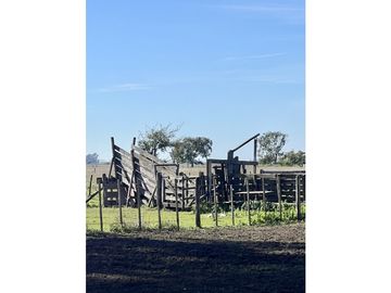 Campo en venta. 225 Has ganaderas con Excelente mejoras