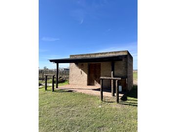 Campo en venta. 225 Has ganaderas con Excelente mejoras