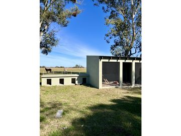 Campo en venta. 225 Has ganaderas con Excelente mejoras