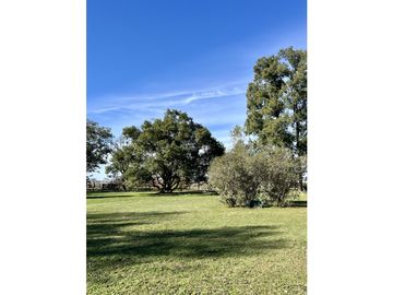 Campo en venta. 225 Has ganaderas con Excelente mejoras
