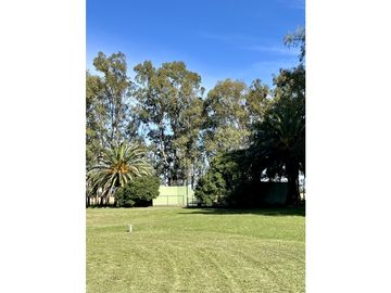 Campo en venta. 225 Has ganaderas con Excelente mejoras